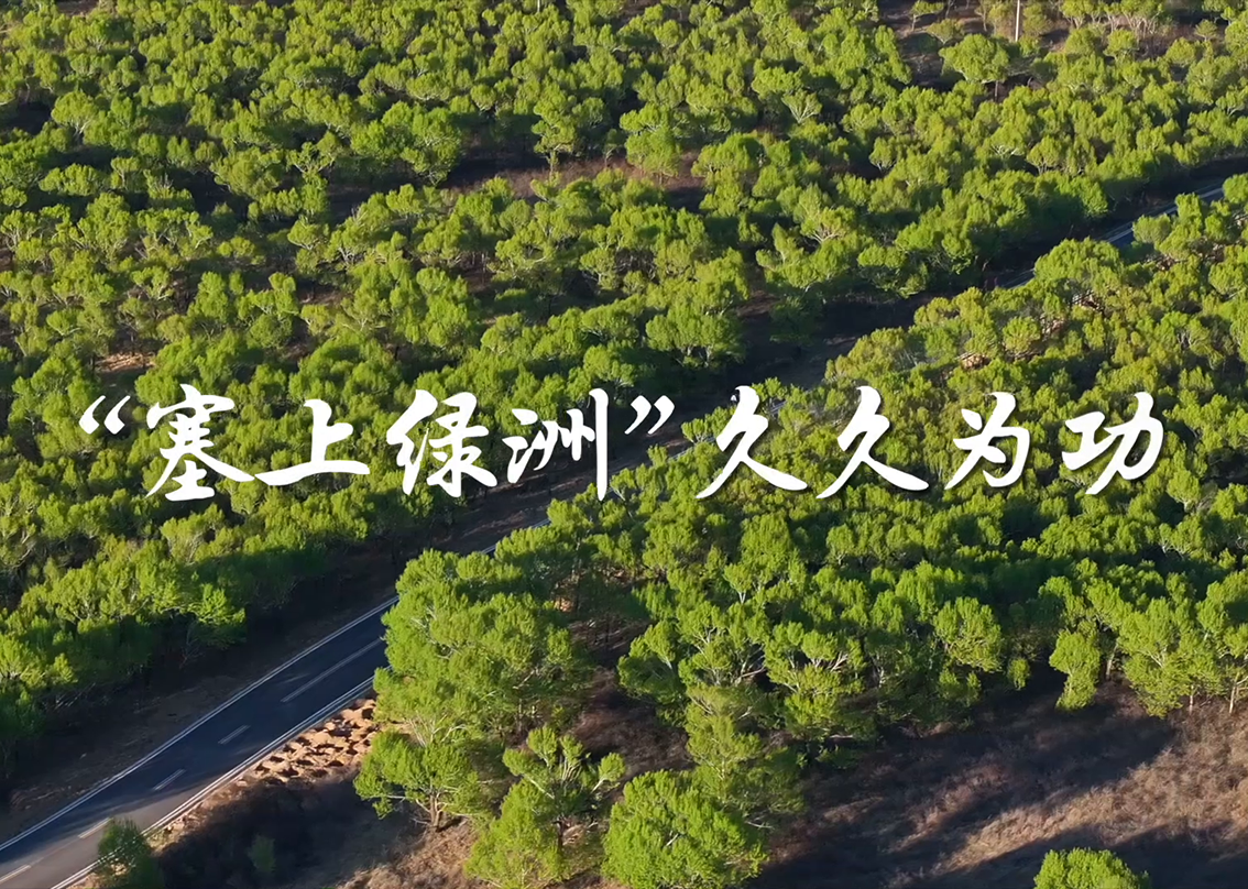 学习·故事丨“塞上绿洲”久久为功真正的政绩,从来不是写在纸上、挂在嘴上的虚功,而是留在绿水青山间、刻在百姓心坎里的实绩。
防沙治沙犹如“滚石上山”,具有长期性、艰巨性、反复性和不确定性,容不得半分歇脚松懈。在习近平生态文明思想指引下,黄沙退却、绿色延展,中国正成为全球荒漠生态治理新标杆。